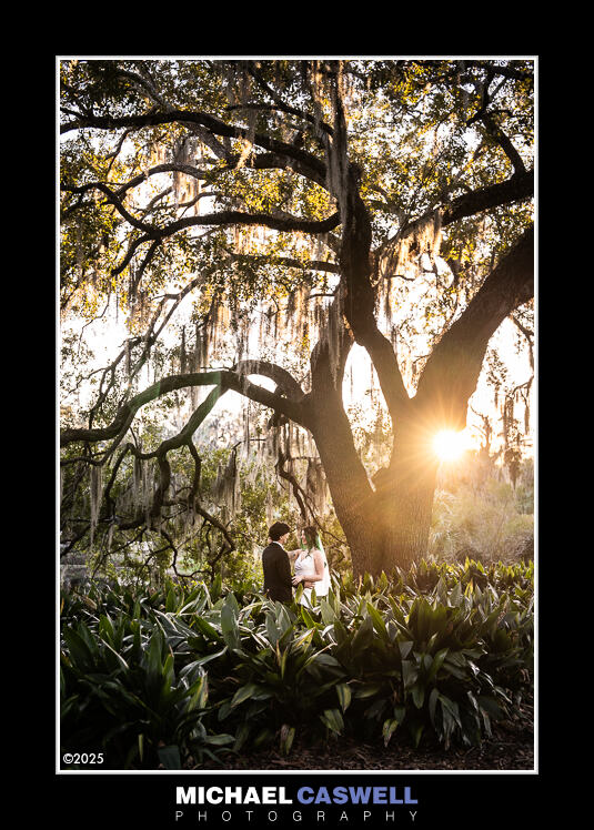 Read more about the article Becca & Alec’s Elopement Portrait in City Park