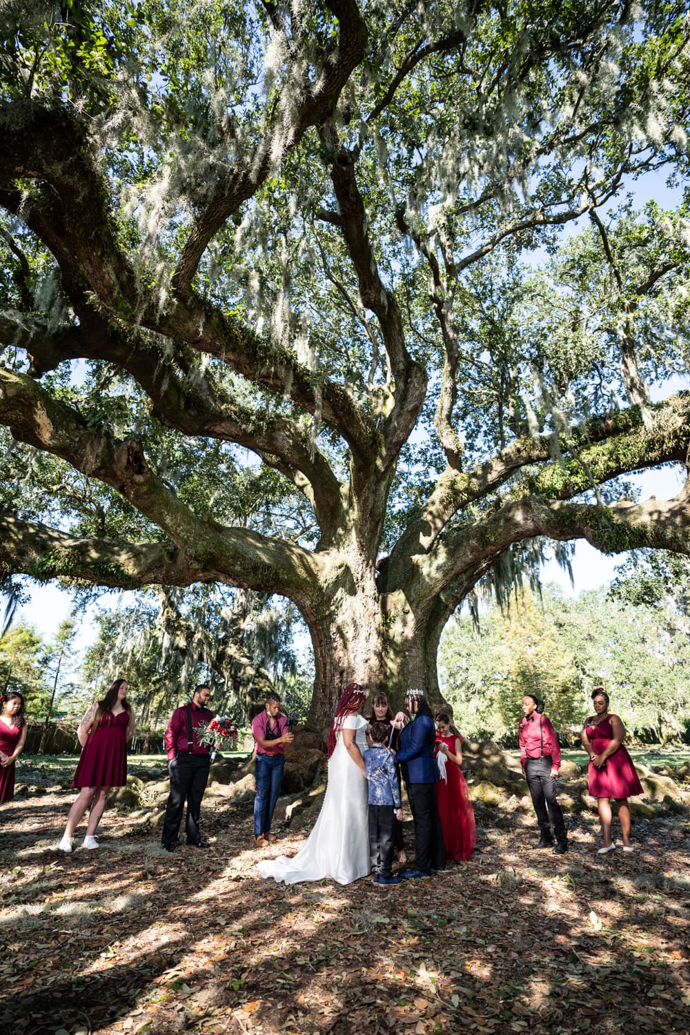 Tree of Life