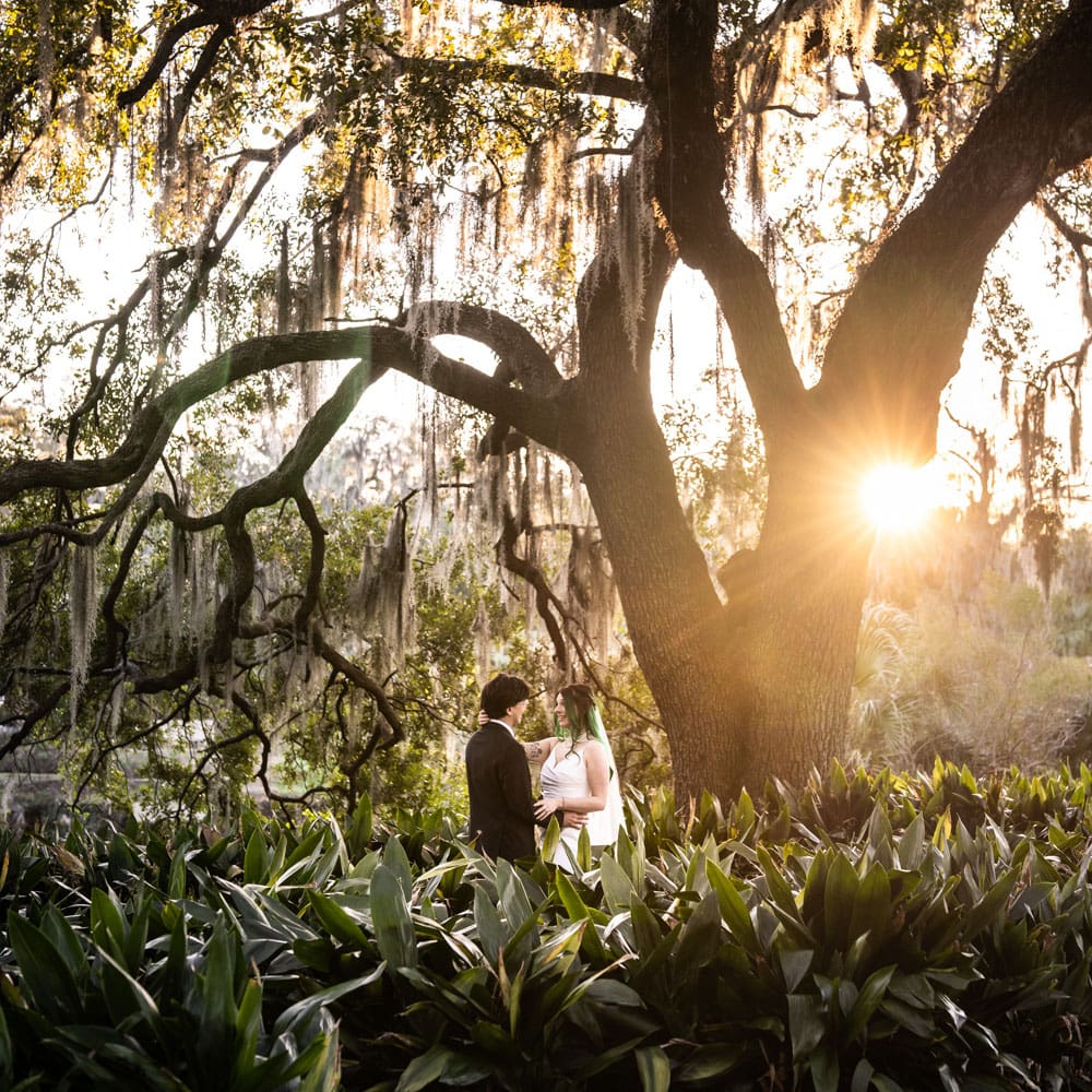 Elopement portrait in New Orleans City Park