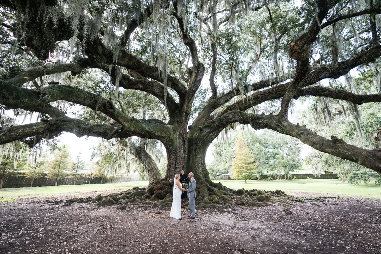 Elopement at the Tree of Life in Audubon Park