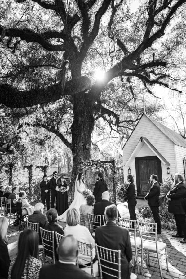 Henry Smith House wedding ceremony with sun filtering through tree in background