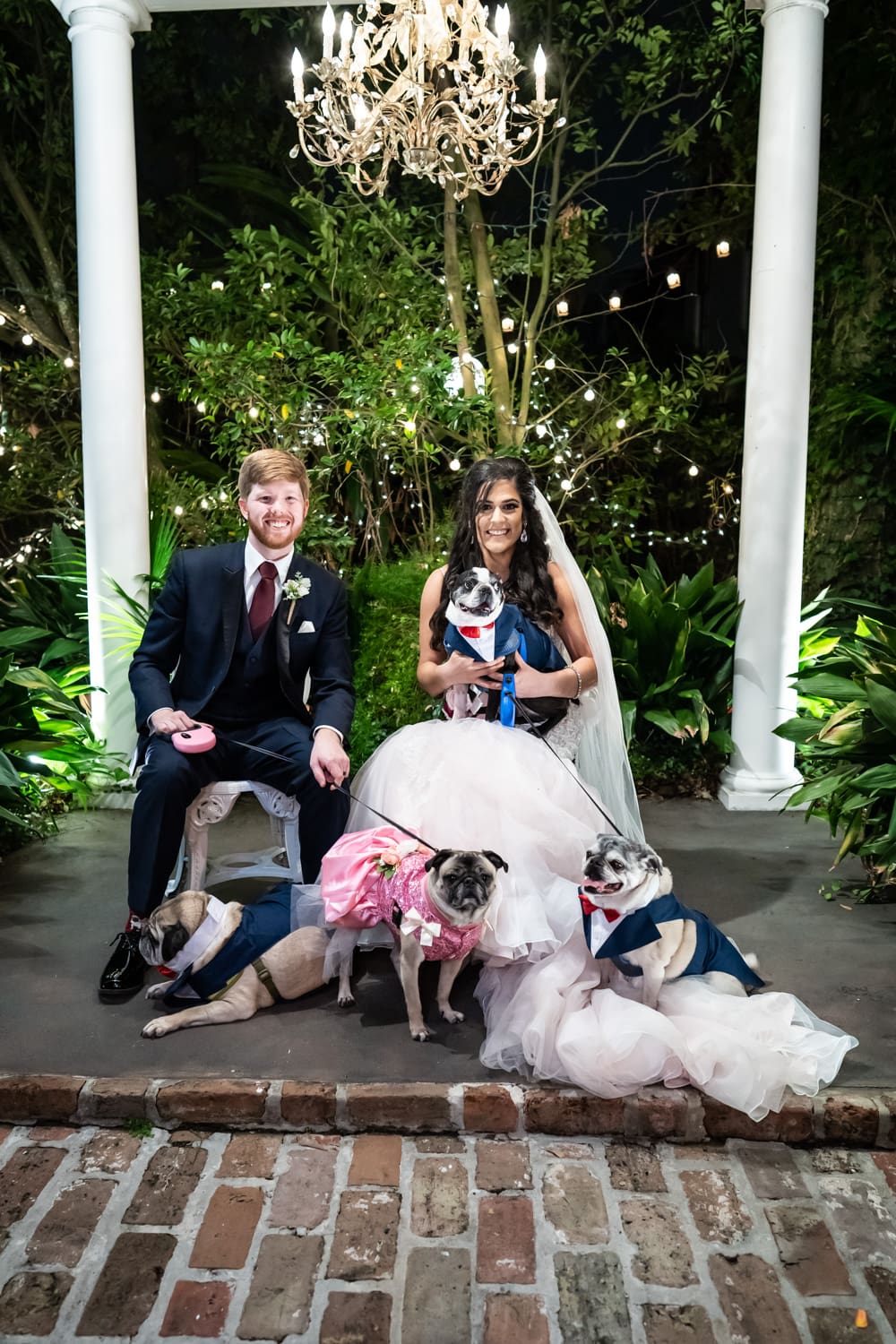 Bride and groom with pugs at House of Broel wedding