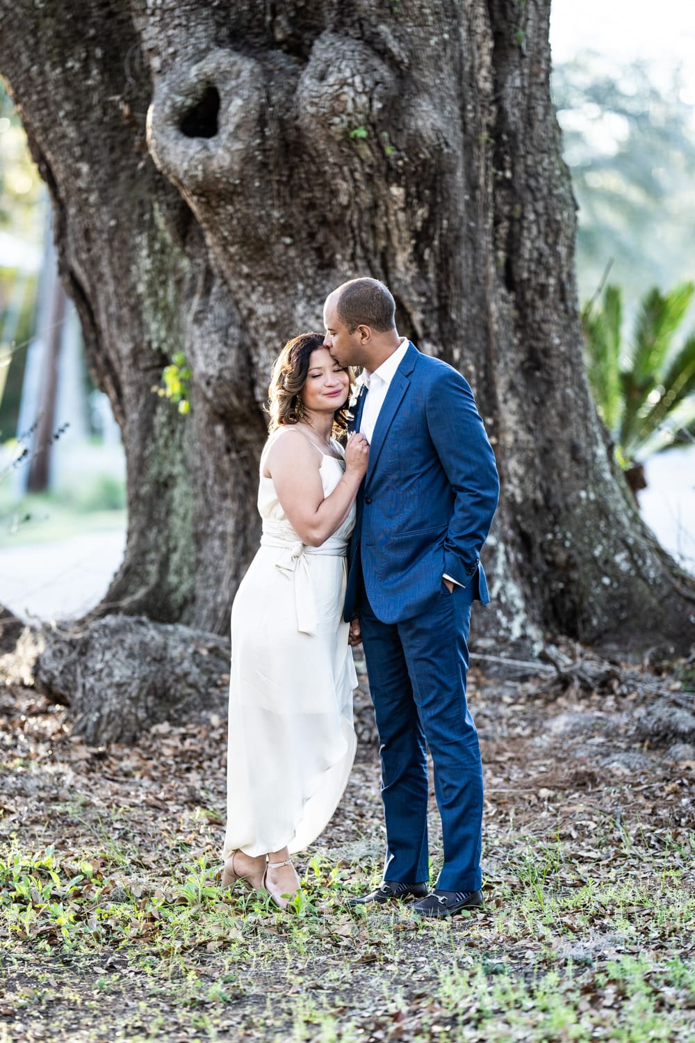 Engagement portrait in Lacombe, couple standing in front of large tree