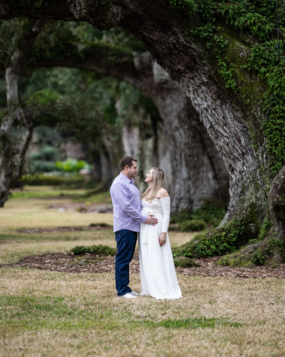 Maternity portrait session at Oak Alley Planation with row of large trees in background