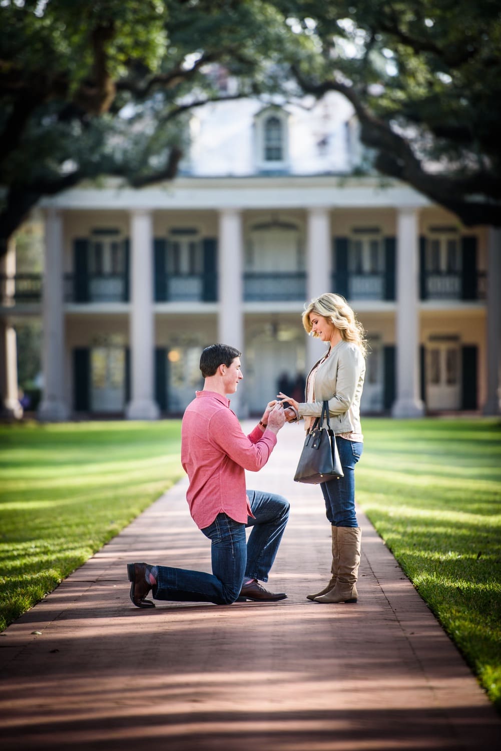 Marriage proposal at Oak Alley Plantation