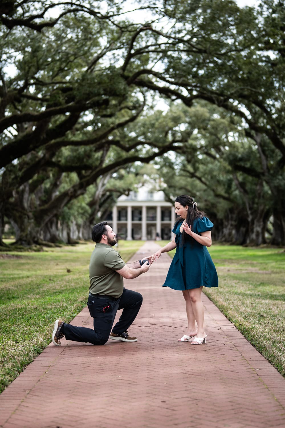 Marriage proposal on walkway at Oak Alley Plantation