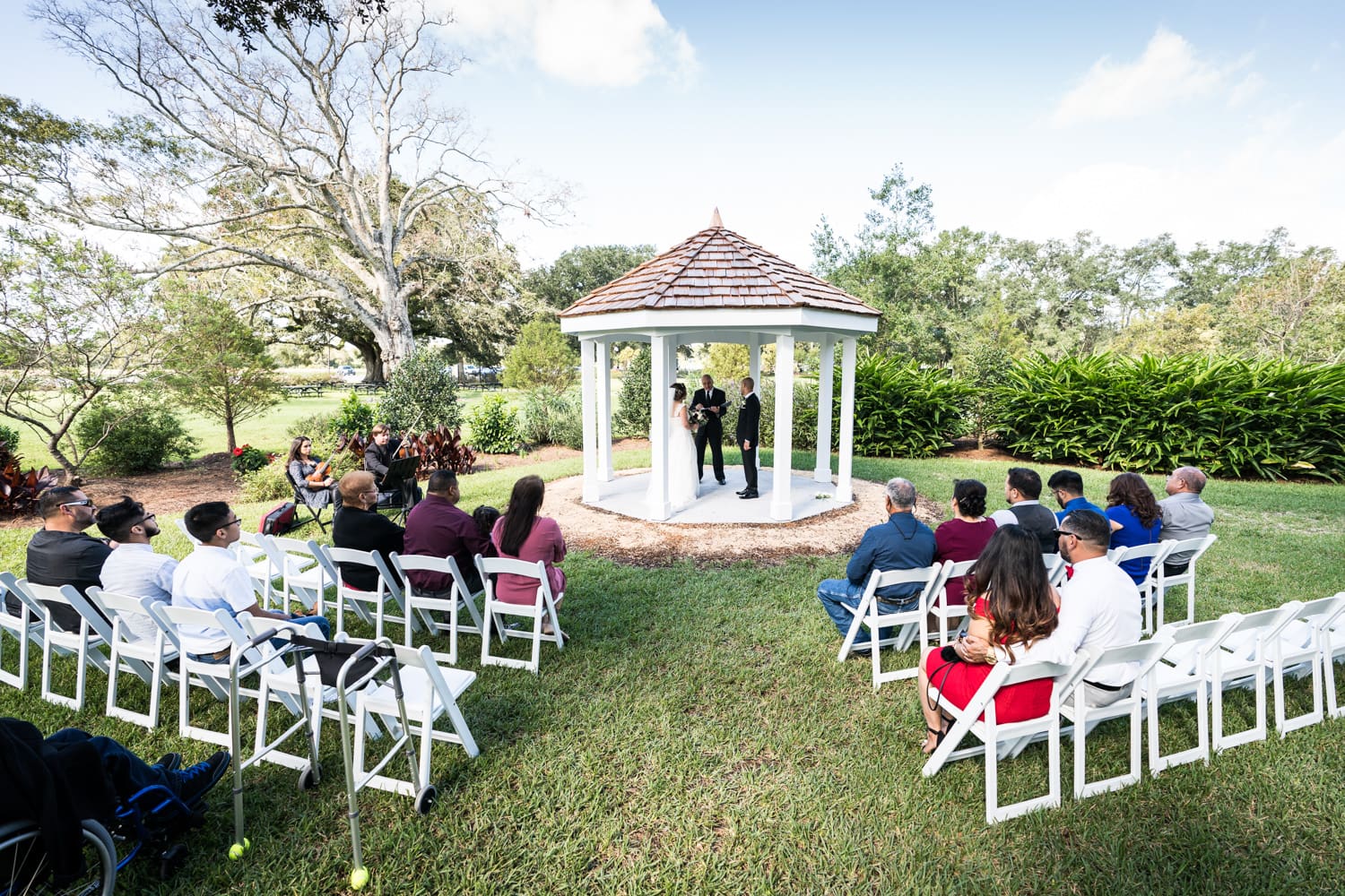 Intimate wedding ceremony at Oak Alley Plantation