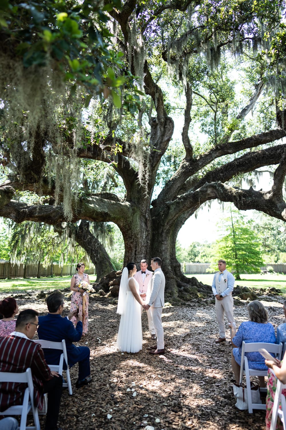 Wedding ceremony at the Tree of Life in Audubon Park