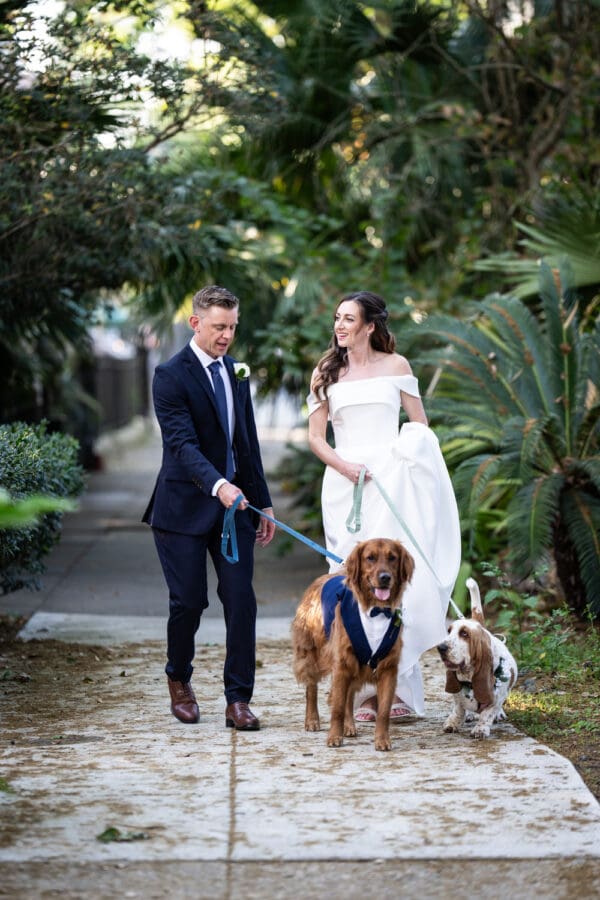 Bride and groom walk their dogs before wedding