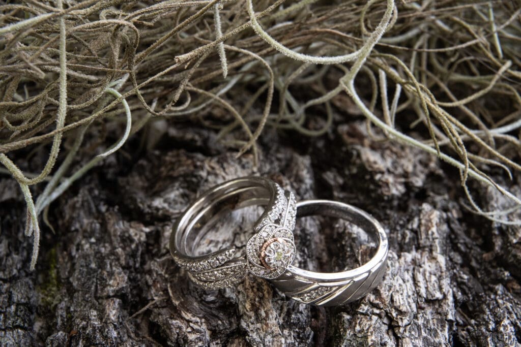 Wedding rings on log with moss