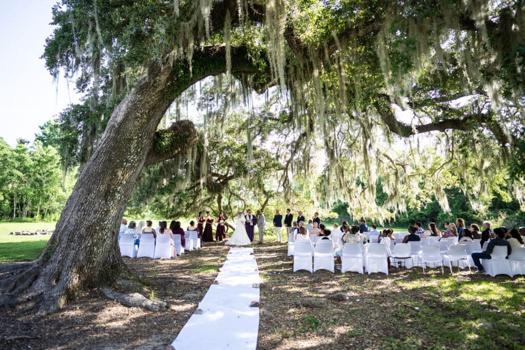 Wedding ceremony under moss-covered oak trees