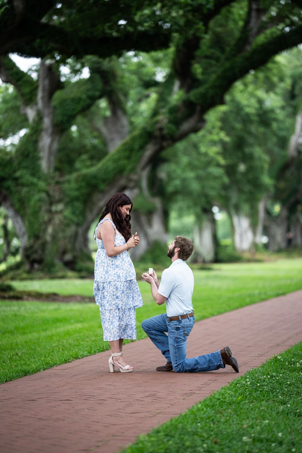 Man proposes to girlfriend at Oak Alley