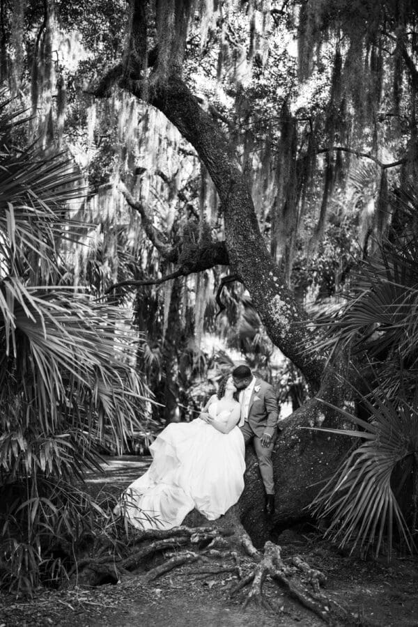 Bride and groom sit on tree in City Park