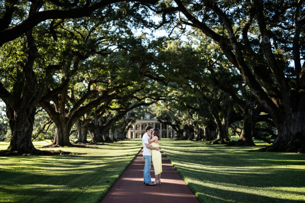Couple kisses among alley of oak trees